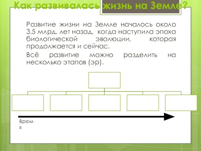 Как развивалась жизнь на Земле? Развитие жизни на Земле началось около 3,5