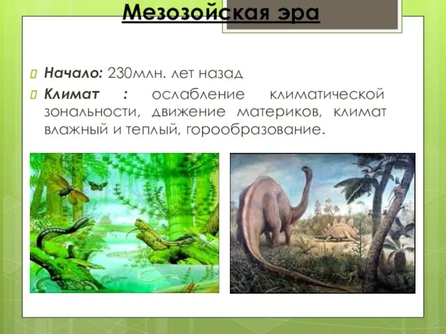 Мезозойская эра Начало: 230млн. лет назад Климат : ослабление климатической зональности, движение