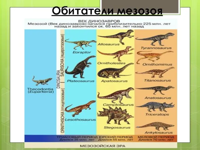 Обитатели мезозоя