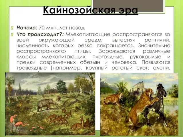 Кайнозойская эра Начало: 70 млн. лет назад Что происходит?: Млекопитающие распространяются во