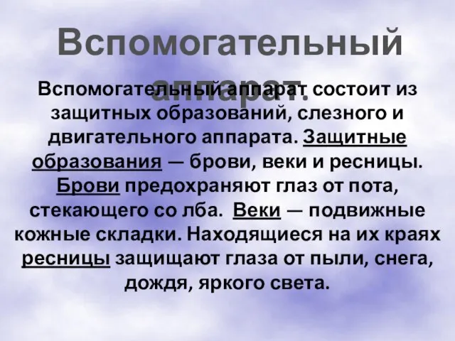 Вспомогательный аппарат. Вспомогательный аппарат состоит из защитных образований, слезного и двигательного аппарата.