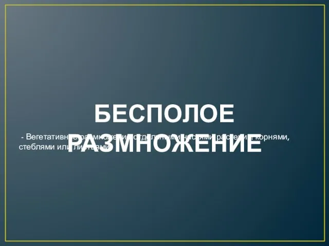 БЕСПОЛОЕ РАЗМНОЖЕНИЕ - Вегетативное размножение отдельными частями растения: корнями, стеблями или листьями!