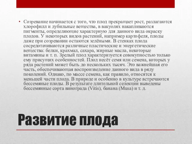 Развитие плода Созревание начинается с того, что плод прекращает рост, разлагаются хлорофилл