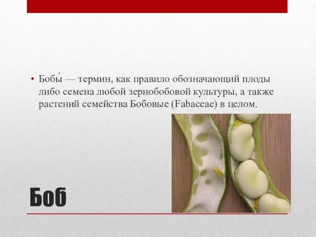 Боб Бобы́ — термин, как правило обозначающий плоды либо семена любой зернобобовой