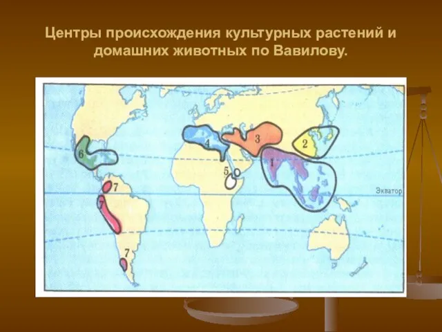 Центры происхождения культурных растений и домашних животных по Вавилову.