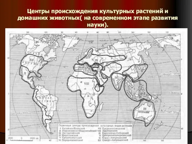 Центры происхождения культурных растений и домашних животных( на современном этапе развития науки).