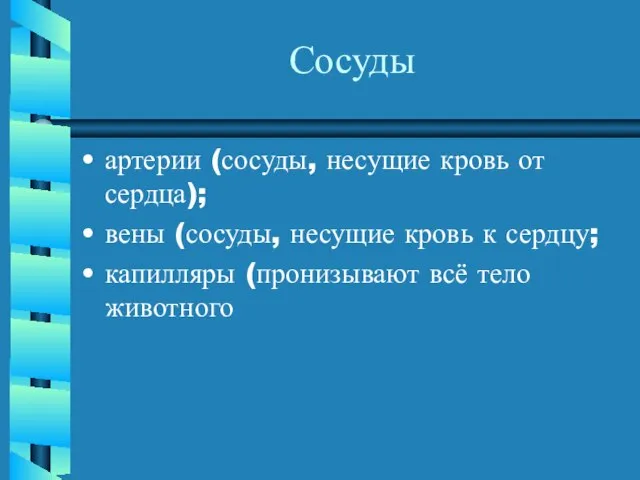 Сосуды артерии (сосуды, несущие кровь от сердца); вены (сосуды, несущие кровь к