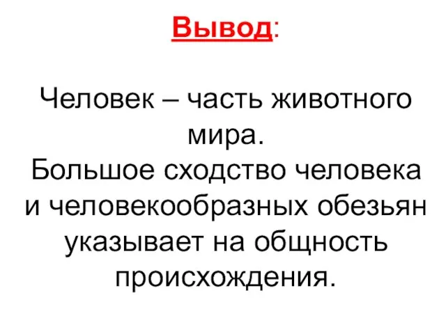 Вывод: Человек – часть животного мира. Большое сходство человека и человекообразных обезьян указывает на общность происхождения.