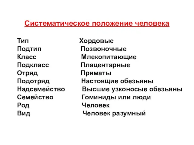 Систематическое положение человека Тип Хордовые Подтип Позвоночные Класс Млекопитающие Подкласс Плацентарные Отряд