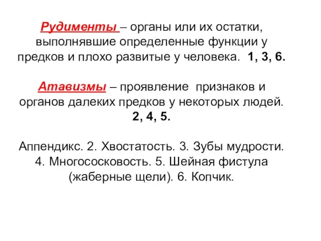 Рудименты – органы или их остатки, выполнявшие определенные функции у предков и