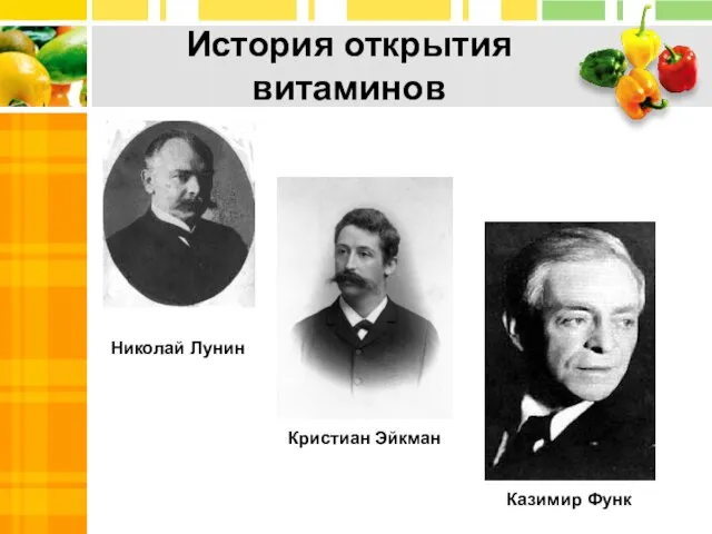 История открытия витаминов Николай Лунин Кристиан Эйкман Казимир Функ