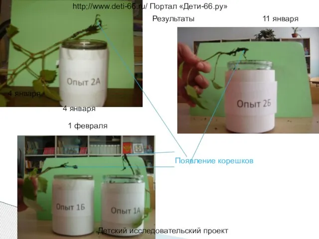 Детский исследовательский проект http;//www.deti-66.ru/ Портал «Дети-66.ру» 4 января 11 января 1 февраля