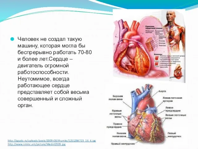 http://agudo.ru/uploads/posts/2009-08/thumbs/1251284723_16_4.jpg http://www.nmmc.am/picture/Medinf/009.jpg Человек не создал такую машину, которая могла бы беспрерывно работать