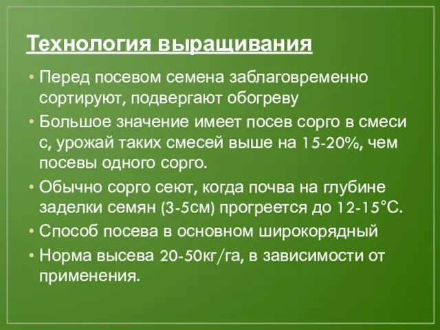 Технология выращивания Перед посевом семена заблаговременно сортируют, подвергают обогреву Большое значение имеет