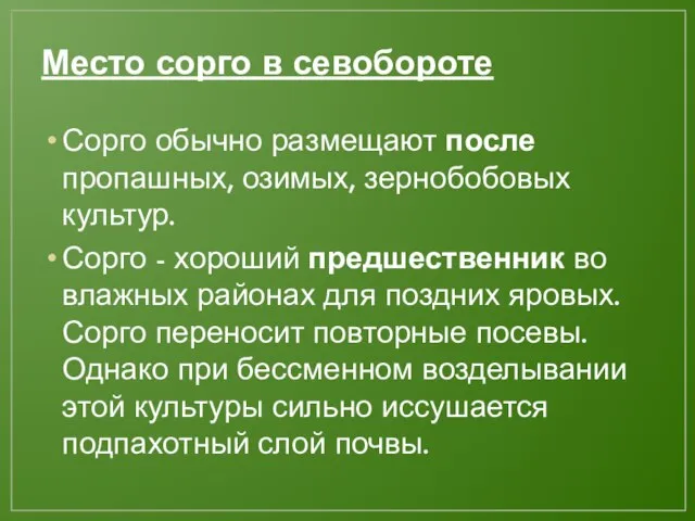 Место сорго в севобороте Сорго обычно размещают после пропашных, озимых, зернобобовых культур.