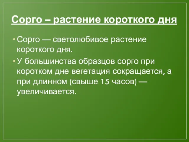 Сорго – растение короткого дня Сорго — светолюбивое растение короткого дня. У