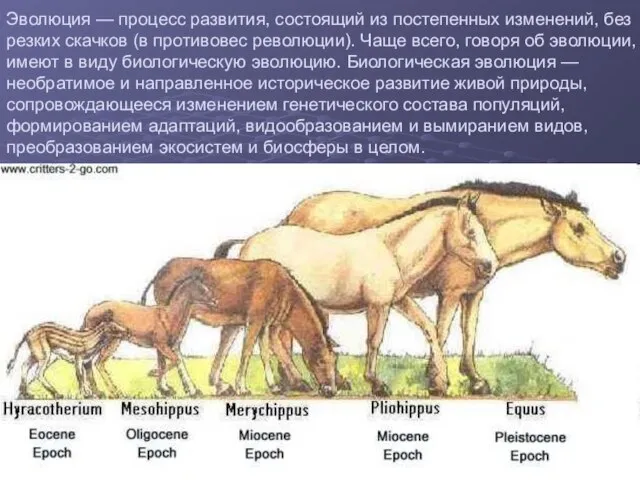 Эволюция — процесс развития, состоящий из постепенных изменений, без резких скачков (в