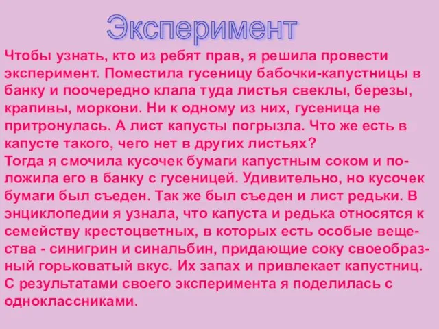 Чтобы узнать, кто из ребят прав, я решила провести эксперимент. Поместила гусеницу