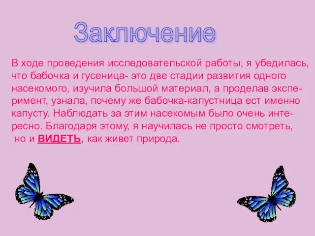 В ходе проведения исследовательской работы, я убедилась, что бабочка и гусеница- это