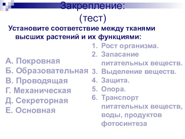 Закрепление: (тест) Установите соответствие между тканями высших растений и их функциями: Рост