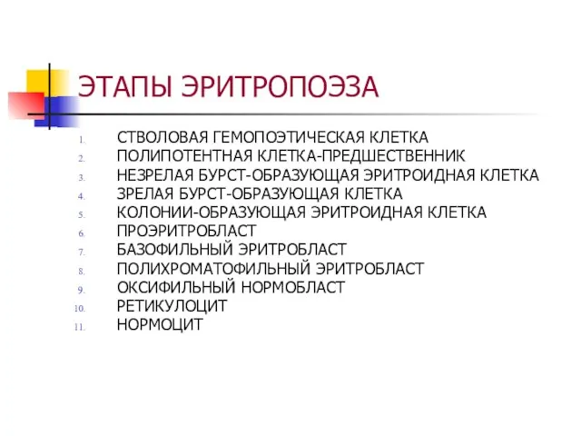 ЭТАПЫ ЭРИТРОПОЭЗА СТВОЛОВАЯ ГЕМОПОЭТИЧЕСКАЯ КЛЕТКА ПОЛИПОТЕНТНАЯ КЛЕТКА-ПРЕДШЕСТВЕННИК НЕЗРЕЛАЯ БУРСТ-ОБРАЗУЮЩАЯ ЭРИТРОИДНАЯ КЛЕТКА ЗРЕЛАЯ