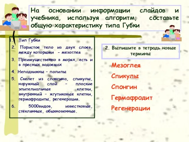 На основании информации слайдов и учебника, используя алгоритм, составьте общую характеристику типа