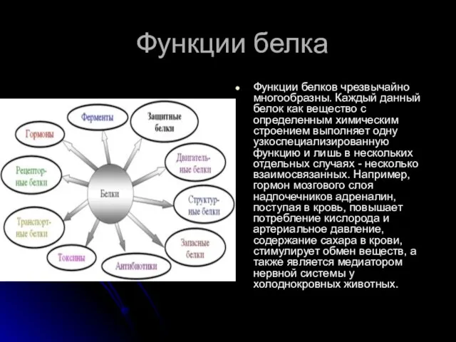 Функции белка Функции белков чрезвычайно многообразны. Каждый данный белок как вещество с