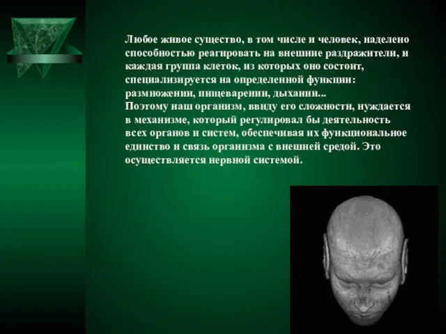 Любое живое существо, в том числе и человек, наделено способностью реагировать на