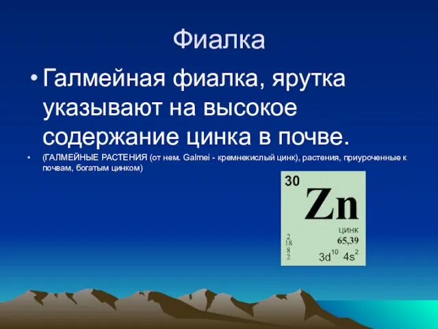 Фиалка Галмейная фиалка, ярутка указывают на высокое содержание цинка в почве. (ГАЛМЕЙНЫЕ