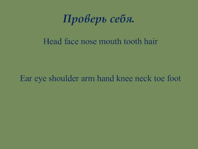 Проверь себя. Head face nose mouth tooth hair Ear eye shoulder arm