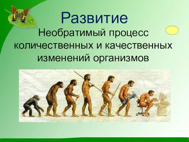 Развитие Необратимый процесс количественных и качественных изменений организмов