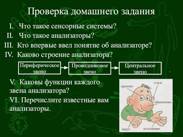 Проверка домашнего задания Что такое сенсорные системы? Что такое анализаторы? Кто впервые