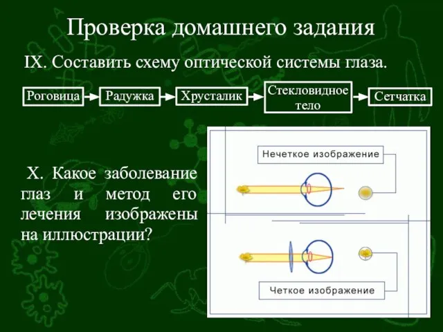 Проверка домашнего задания IX. Составить схему оптической системы глаза. X. Какое заболевание