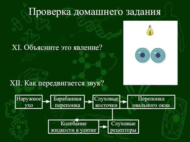 Проверка домашнего задания XII. Как передвигается звук? XI. Объясните это явление?