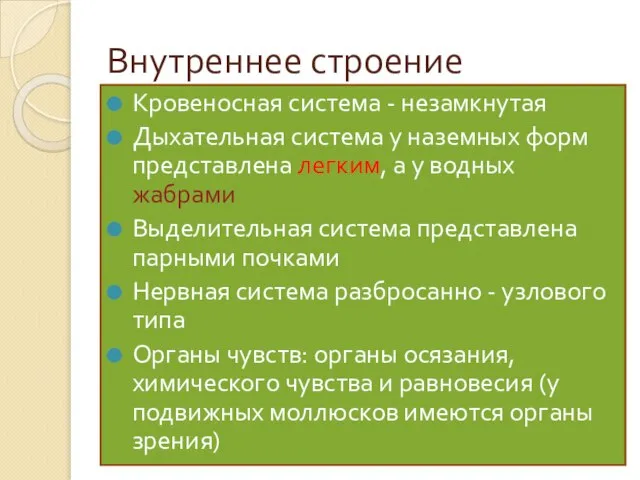 Внутреннее строение Кровеносная система - незамкнутая Дыхательная система у наземных форм представлена