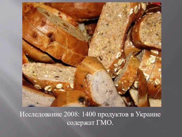 Исследование 2008: 1400 продуктов в Украине содержат ГМО.