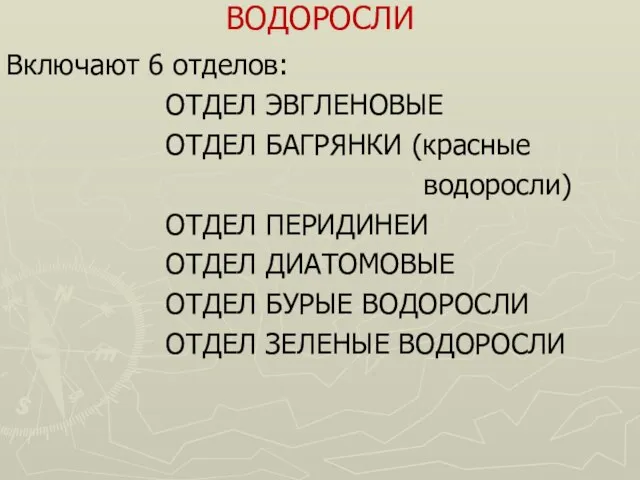 ВОДОРОСЛИ Включают 6 отделов: ОТДЕЛ ЭВГЛЕНОВЫЕ ОТДЕЛ БАГРЯНКИ (красные водоросли) ОТДЕЛ ПЕРИДИНЕИ