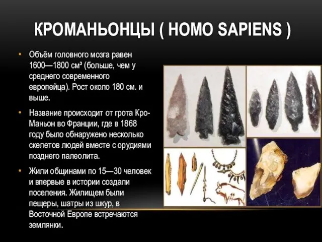 КРОМАНЬОНЦЫ ( HOMO SAPIENS ) Объём головного мозга равен 1600—1800 см³ (больше,