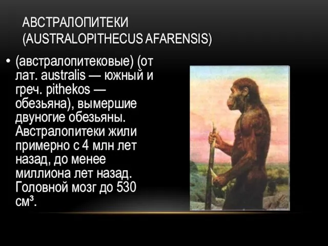 АВСТРАЛОПИТЕКИ (AUSTRALOPITHECUS AFARENSIS) (австралопитековые) (от лат. australis — южный и греч. pithekos