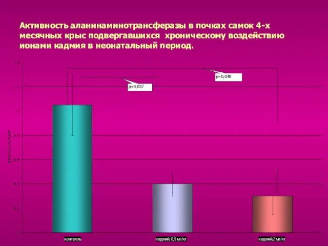 Активность аланинаминотрансферазы в почках самок 4-х месячных крыс подвергавшихся хроническому воздействию ионами кадмия в неонатальный период.