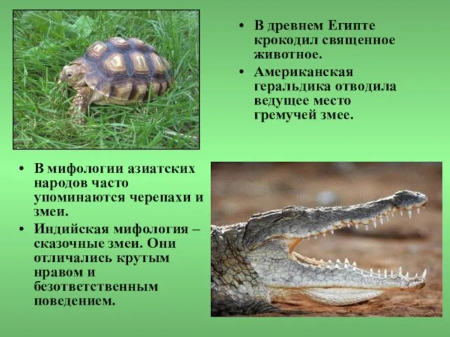 В мифологии азиатских народов часто упоминаются черепахи и змеи. Индийская мифология –