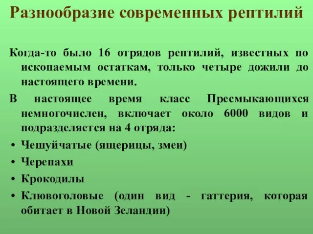 Разнообразие современных рептилий Когда-то было 16 отрядов рептилий, известных по ископаемым остаткам,