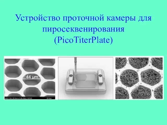 Устройство проточной камеры для пиросеквенирования (PicoTiterPlate)