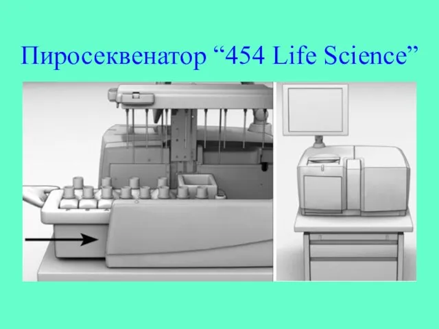 Пиросеквенатор “454 Life Science”