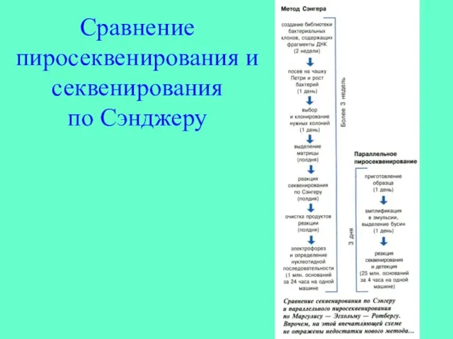 Сравнение пиросеквенирования и секвенирования по Сэнджеру