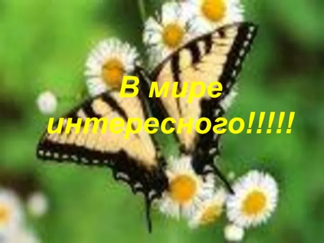 В мире интересного!!!!! В мире интересного!!!!!