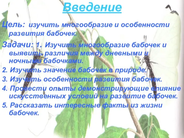 Введение Цель: изучить многообразие и особенности развития бабочек. Задачи: 1. Изучить многообразие