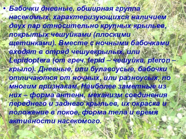 Бабочки дневные, обширная группа насекомых, характеризующихся наличием двух пар относительно крупных крыльев,