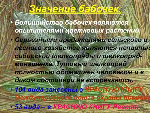 Значение бабочек. Большинство бабочек являются опылителями цветковых растений. Серьезными вредителями сельского и