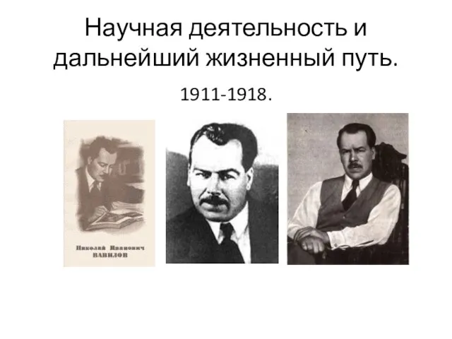 Научная деятельность и дальнейший жизненный путь. 1911-1918.